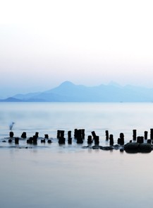 夜?雨林——雨林深處秘境探訪