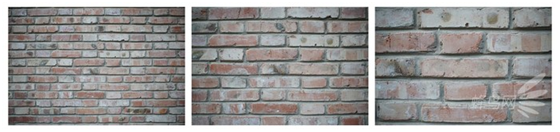 精細(xì)調(diào)焦與馥郁色彩 美科25mm f1.8鏡頭評測